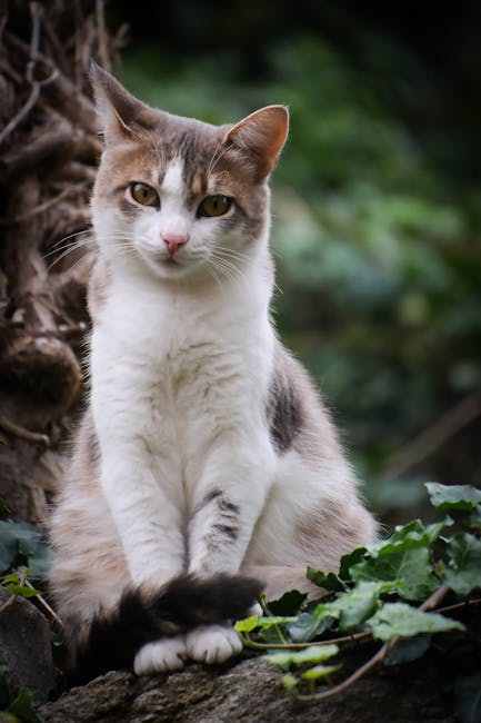 DagnyAlldanas's tweet photo. تصبح أجمل الروح الأمل في كل الحياة عندما يلهم ابتسامة. german prang https://t.co/OnGqC2mvp2