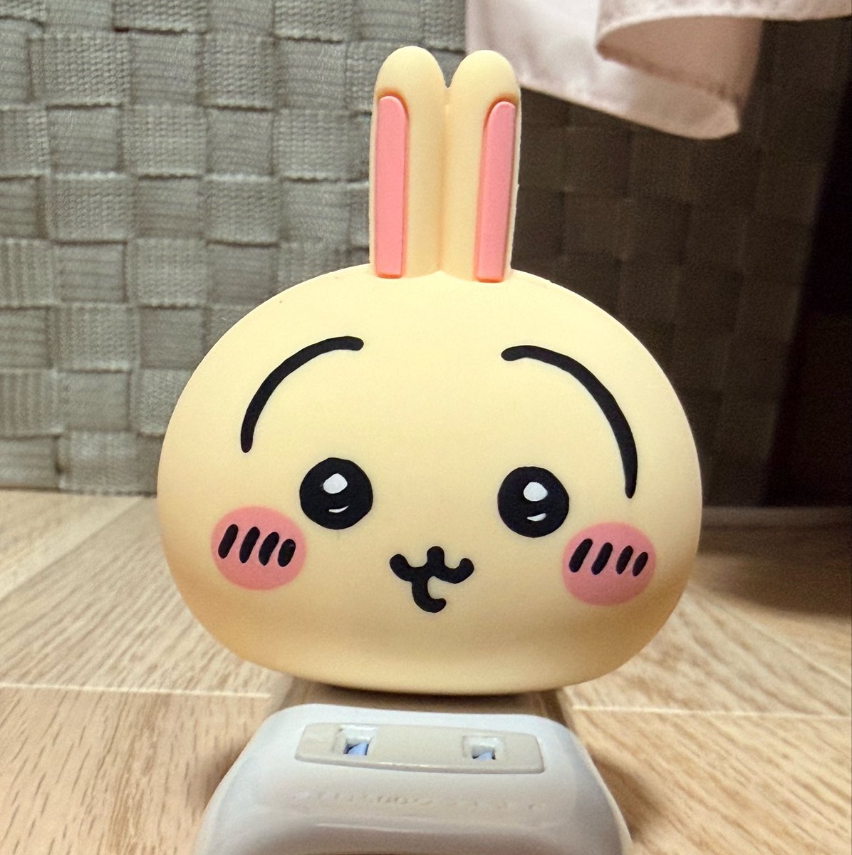 usagi_anyone's tweet photo. さすがに可愛すぎる https://t.co/M50fnw0VlK