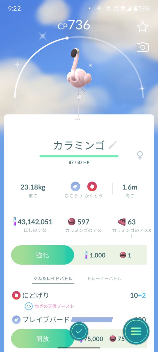 mercure8131's tweet photo. #ポケモンGO
カラミンゴのイロチ出てたんか✨️ https://t.co/GOQQxuGKrO