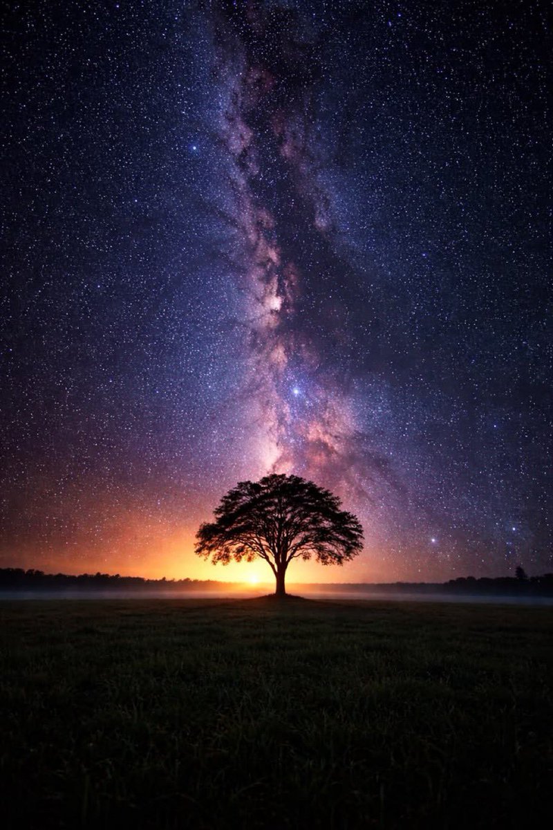 maiz_julio's tweet photo. Milky way Night's https://t.co/s0kkXlgCir