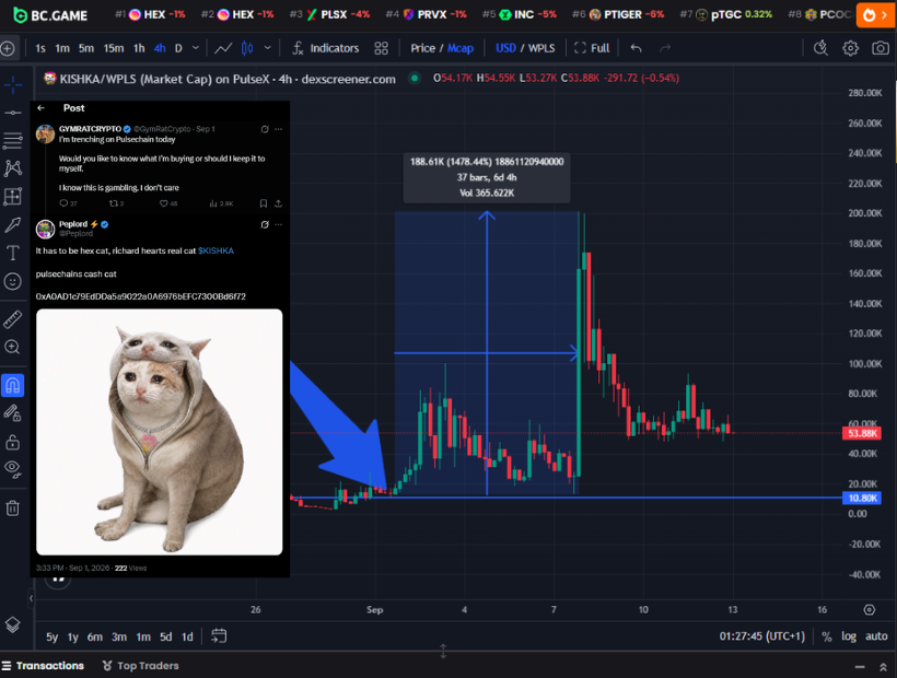 Peplord's tweet photo. I guess it helps you if you ommit the fact I hard shilled you a 16x just last week in ur comments 

I'm sorry you missed it.

#HEXCAT $KISHKA https://t.co/0UmxxFy07A