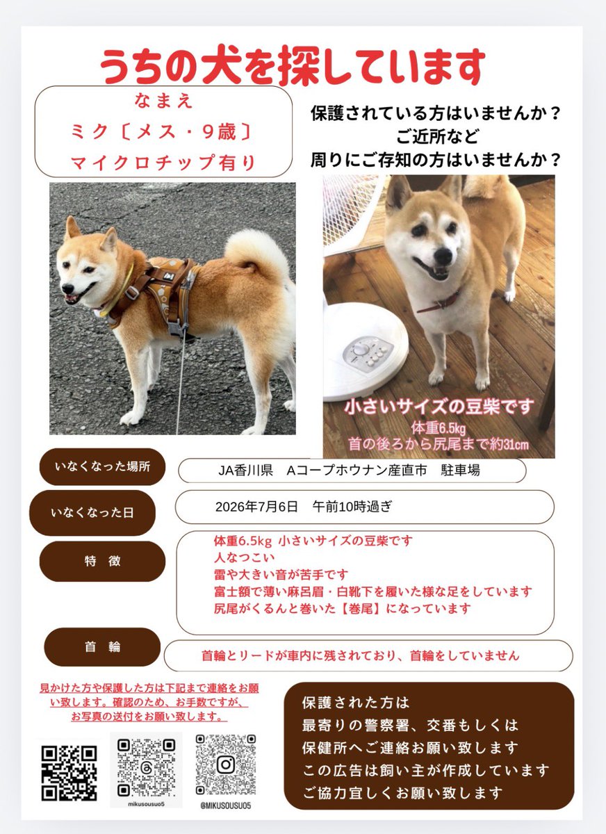 wu4gqfmiku's tweet photo. 【#迷子犬 #拡散希望】
今日で70日です。
香川県観音寺市で失踪した豆柴の「ミク」を探しています。
どなたか見かけた、保護された方はいませんか？

どんな些細な情報でも良いのでご連絡宜しくお願い致します。
特徴：はっきりした富士額、白靴下、マイクロチップ有

#観音寺市 #柴犬 #豆柴 #大野原町 https://t.co/BUs0PP9LpK