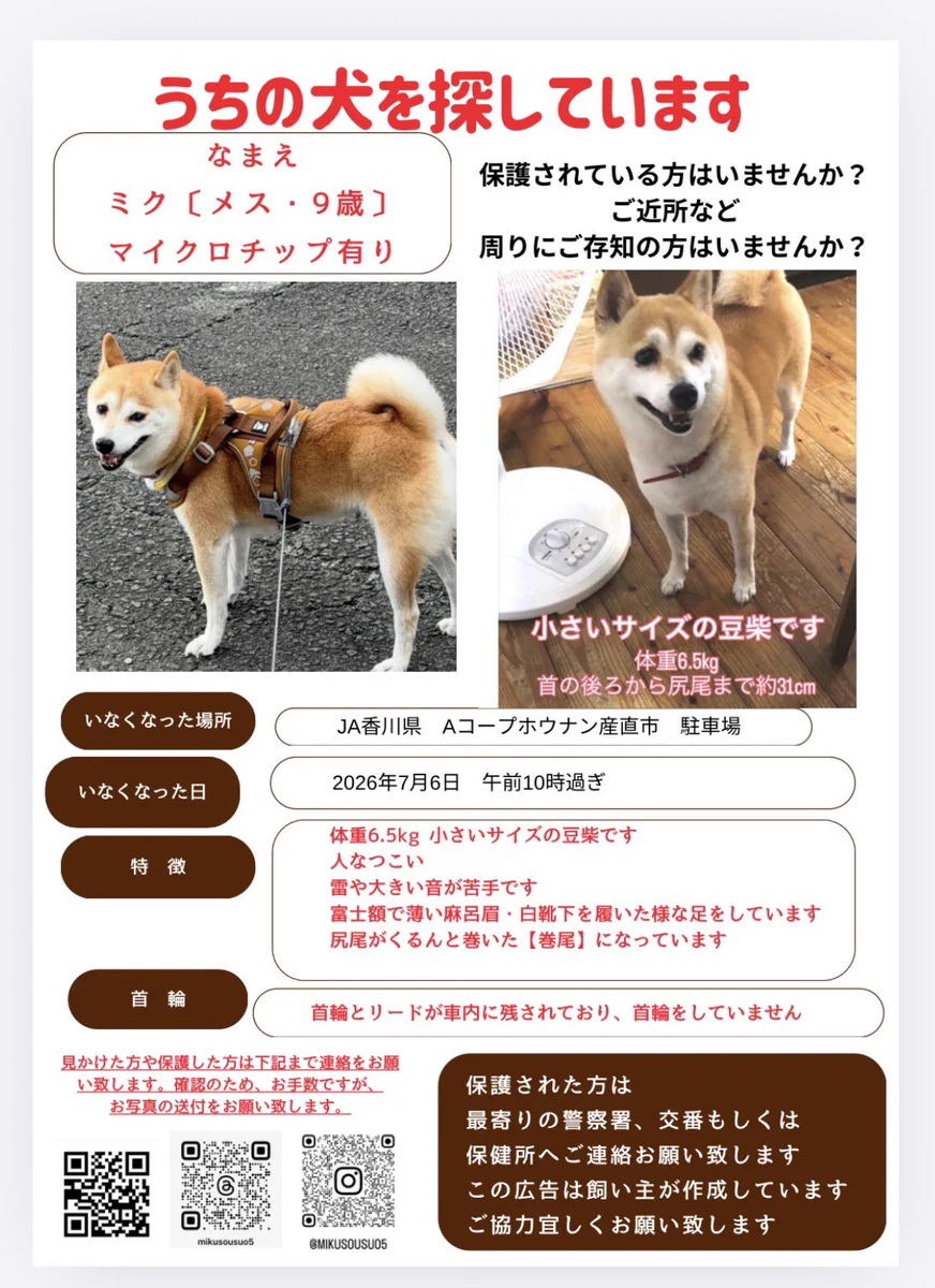 自称犬 （プロフー読お願い致します） ネコの時間 on X: 