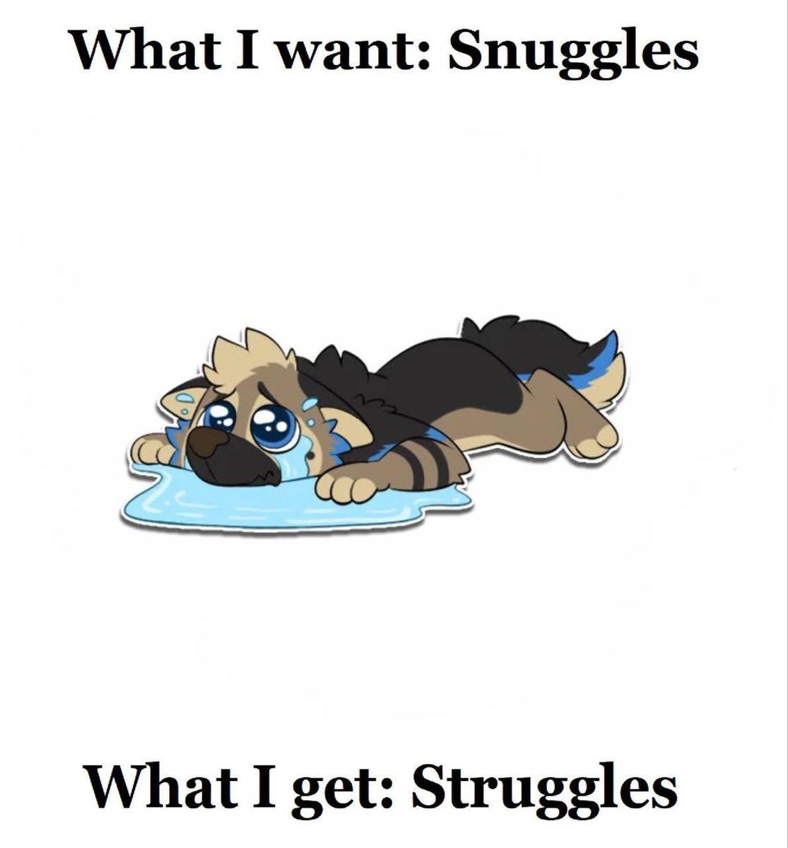 ranger_shep's tweet photo. 😭😭 https://t.co/14H9RqxjP5