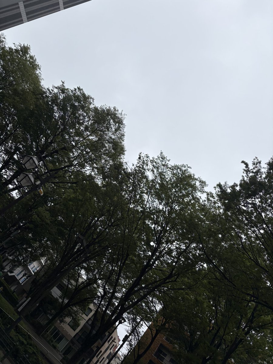 akatukilisa's tweet photo. 朝からレッスン
今日は13時間稼働

雨降らないでくれ��� https://t.co/3jpBsqgVcI
