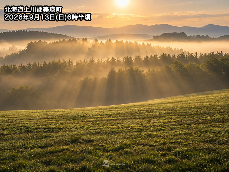 wni_jp's tweet photo. 【美瑛の丘を包む幻想的な朝霧が発生】
今日13日(日)の朝、北海道上川郡美瑛町では丘陵地を包み込むような幻想的な朝霧が見られました。
https://t.co/bS7cTCkKMm https://t.co/dbCIHDHDuD