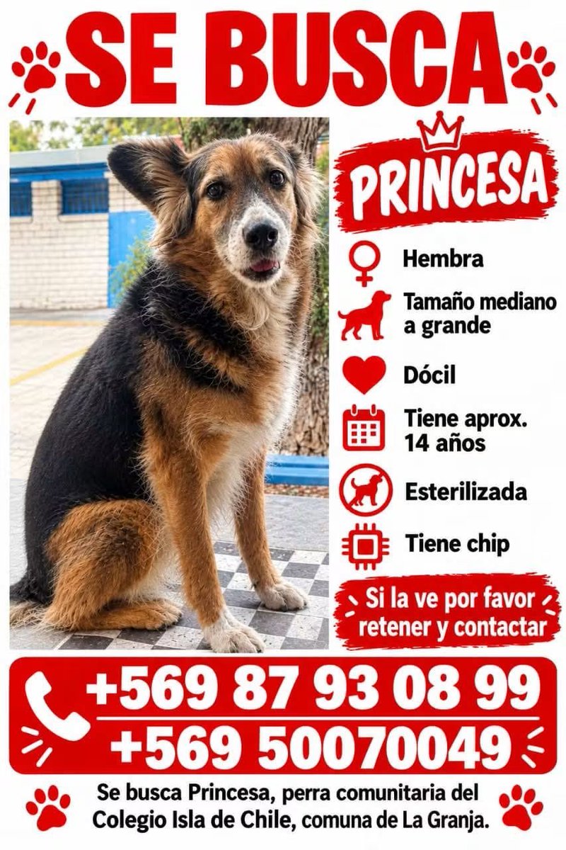 todopormiperro's tweet photo. https://t.co/a5uOzFBUnv