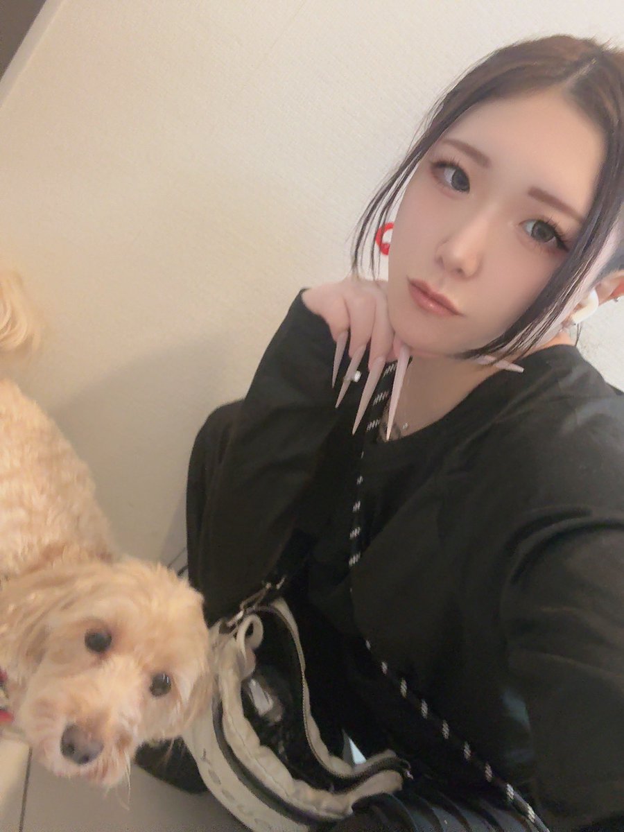 S_rika_JS's tweet photo. うーたろすと散歩行く前のちゃむ https://t.co/qtrrvmDBq8