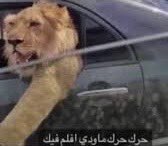 rciltl tweet picture