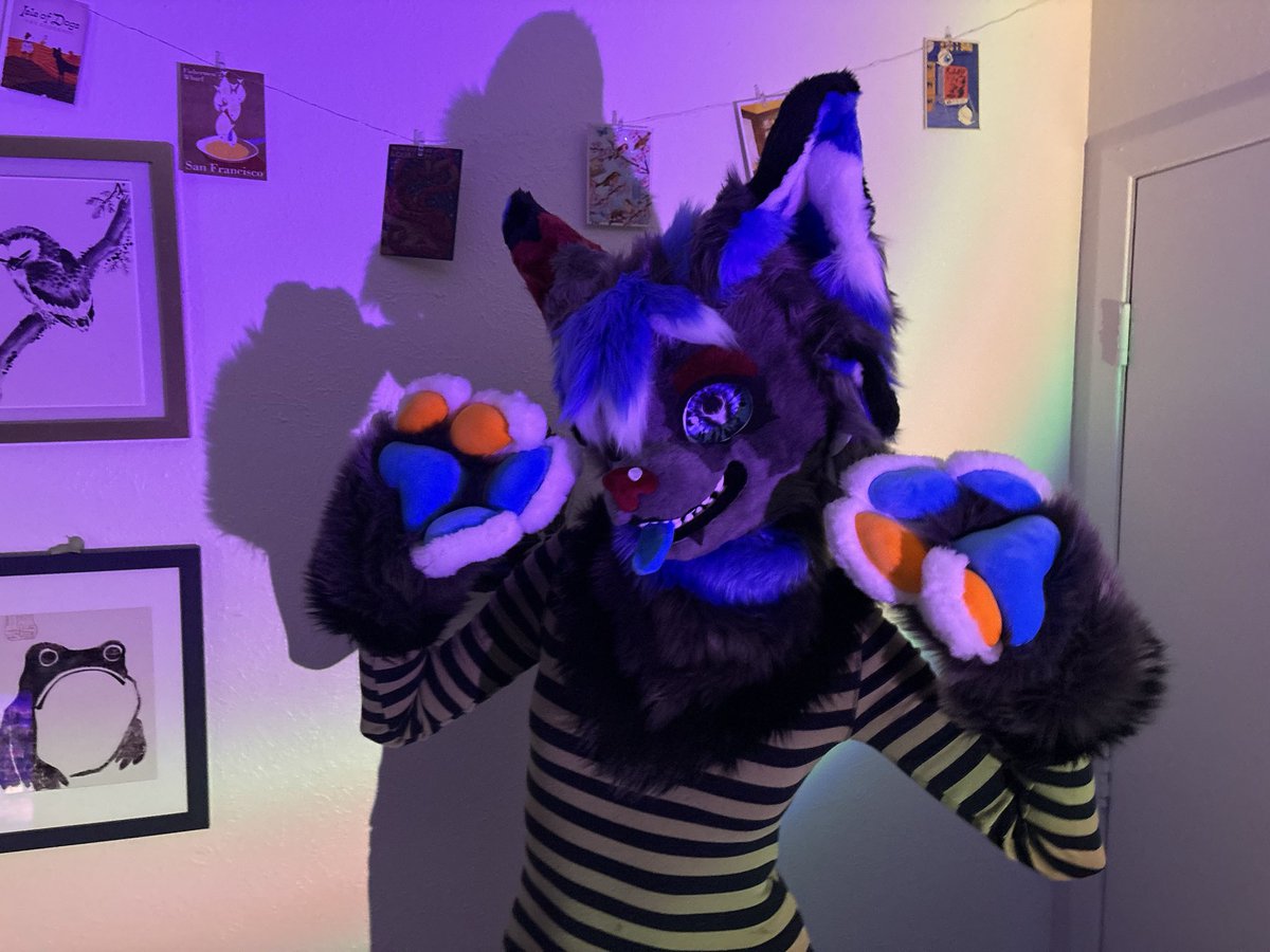 c1ph3rrrrrr's tweet photo. First ever fursuit :3 literally obsessed #furry #fursuit https://t.co/myghMBBTcR