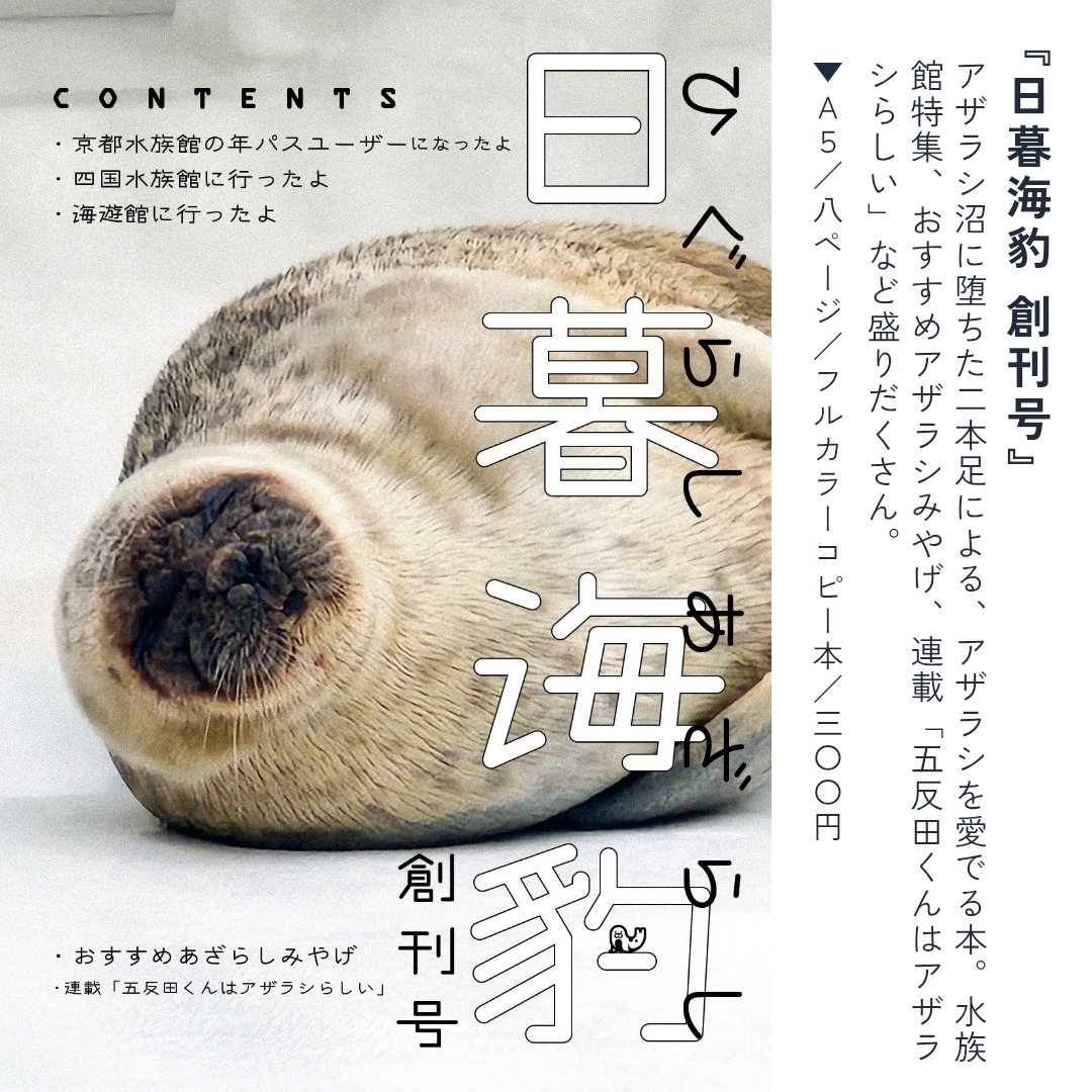 gotandakunio's tweet photo. 最近は写真を使ったフルカラーzineをよく作っています。既刊もたくさんありますので、ぜひご覧ください🦭🇹🇼🇹🇷 https://t.co/QBIyd8Aob5