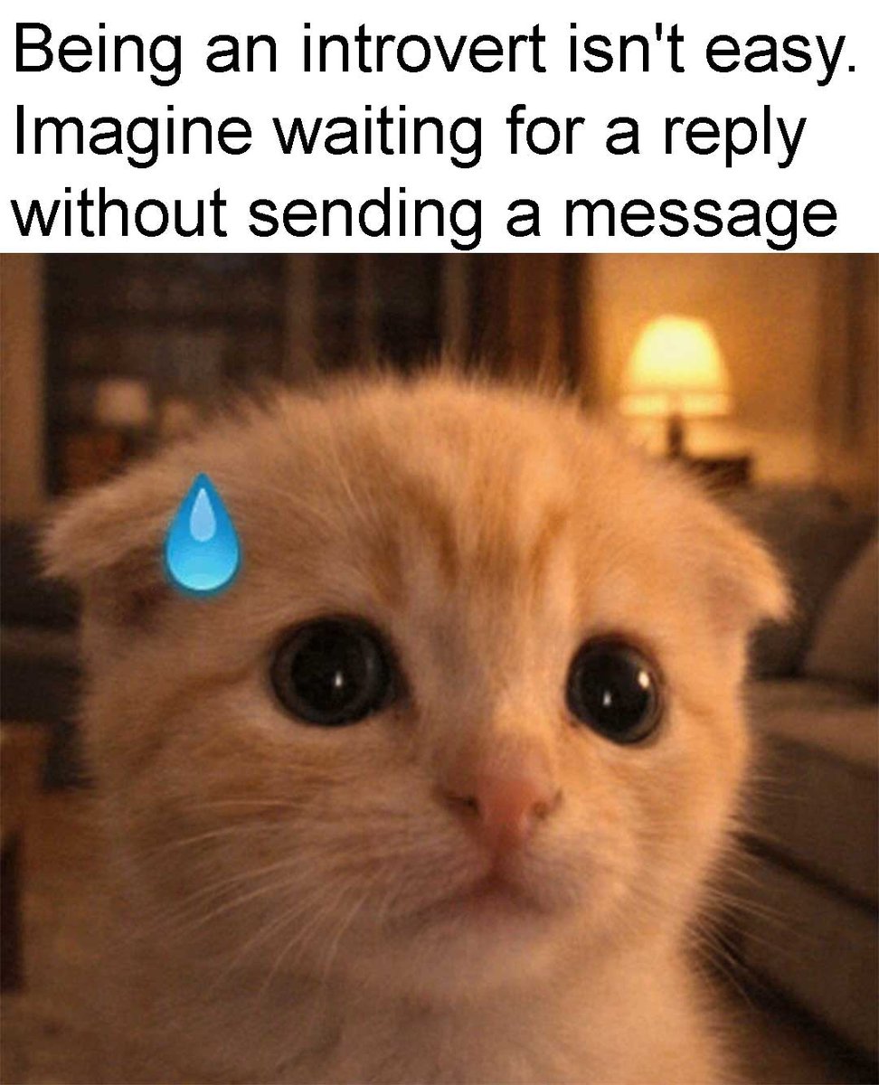 _ViralCats_'s tweet photo. Currently waiting for them to read my mind. 😭 https://t.co/srORj2KpNE