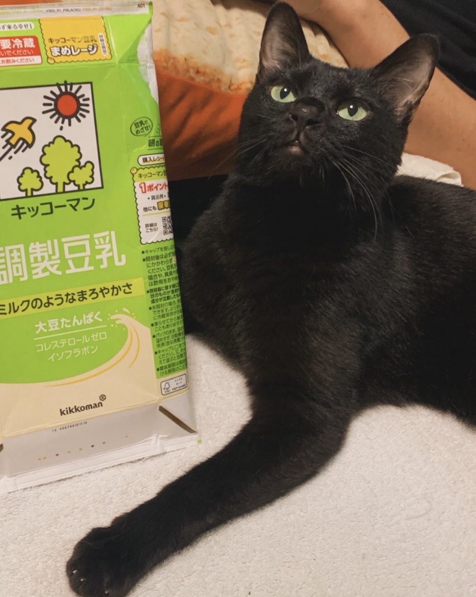 charms_balls's tweet photo. 豆乳と黒猫

🥛🐈‍⬛

#キッコーマン豆乳 https://t.co/nfDyrgfwNZ
