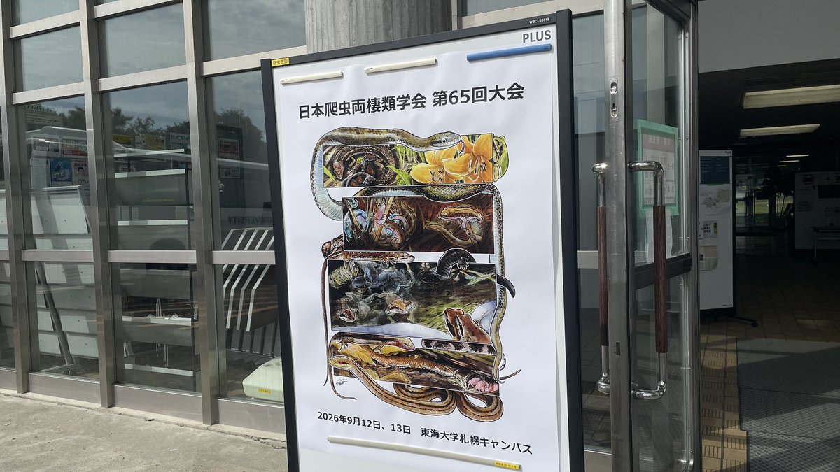 herpetama's tweet photo. 2日目ハペ学会
ブースは入り口から一番奥にいます！
数・サイズなど限られてきましたので、お早めに！ https://t.co/eb1QQfZisD