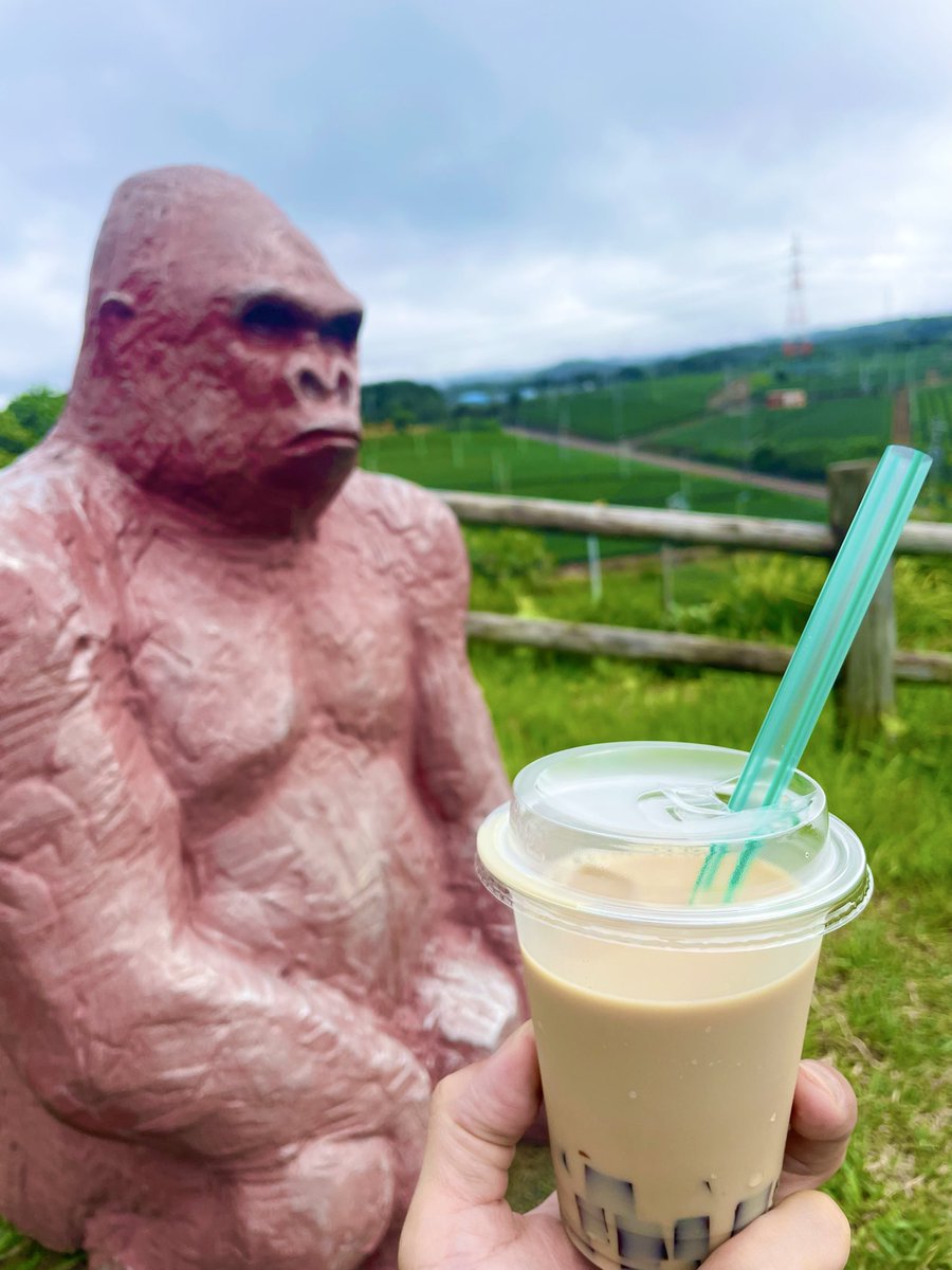 SpCub_c125's tweet photo. デイトナ朝活カフェ☕️
今日は菊川中央公園
菊川ゴリラから🦍
#きくがわ朝活 https://t.co/QjIBsnD2UM