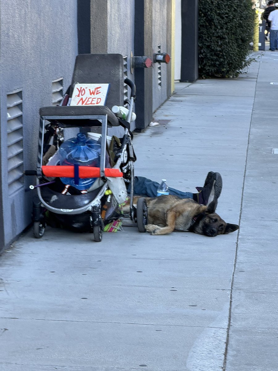 AmberRichmondSF's tweet photo. SF PLEASE HELP ME FIND THIS MAN & HIS DOG.

I saw him today at 4th & Brannan. His large water jug was empty, so I took it home to fill it while walking my dogs. I came back less than 15 minutes later and he was gone. 😭

I rode around looking for him but couldn’t find him. I’ve seen him once before in this same area, but he could be anywhere in SF.

I have his jug FULL of fresh water and feel absolutely terrible. I was just trying to make sure he and his dog had water.

Please look at his dog + distinctive cart. If you see him ANYWHERE in SF, please DM me his location so I can return it. PLEASE SHARE.