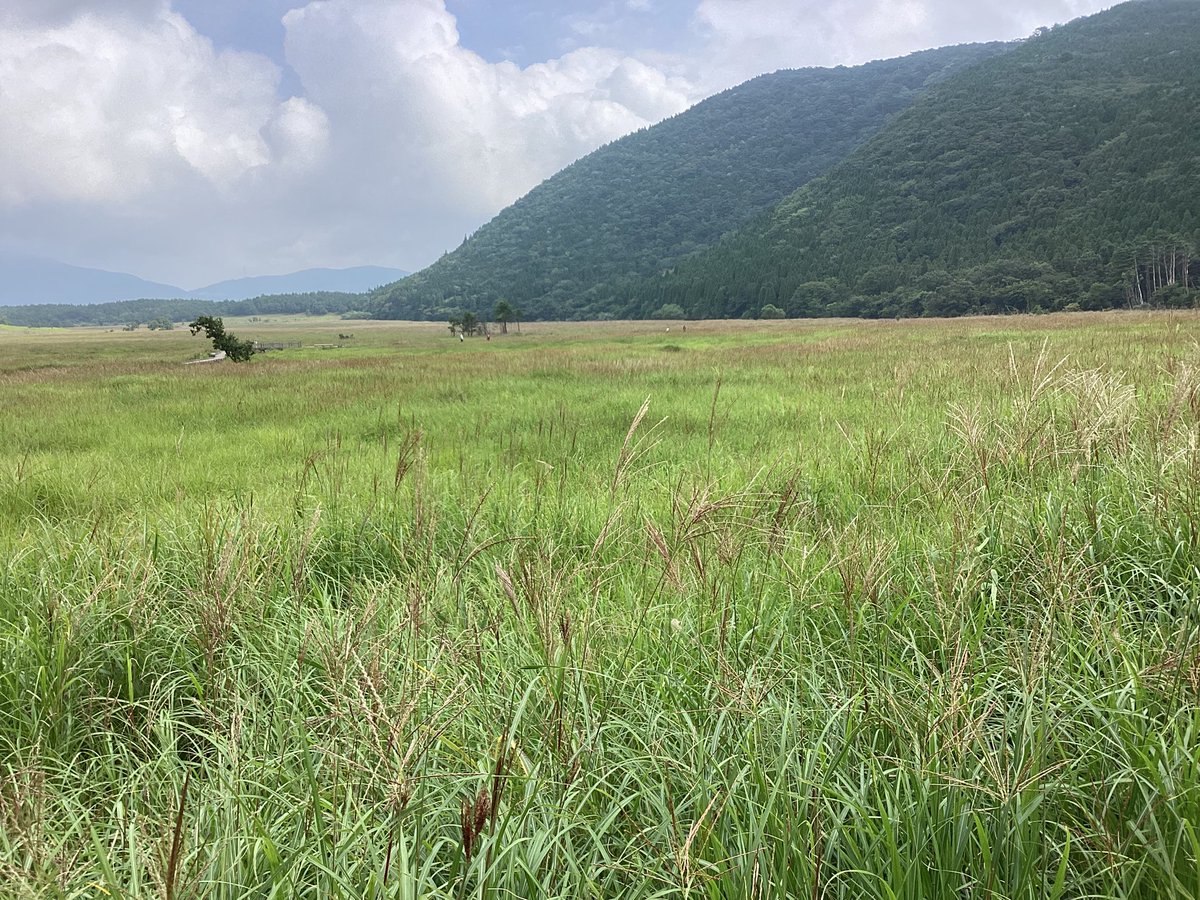 chojabaru_vc's tweet photo. 9月13日(日)
気温　22℃
天気　🌥️

だんだんと雲が出てきましたが、今朝は青空が見える明るいタデ原です。 https://t.co/LbOzvw1qHf