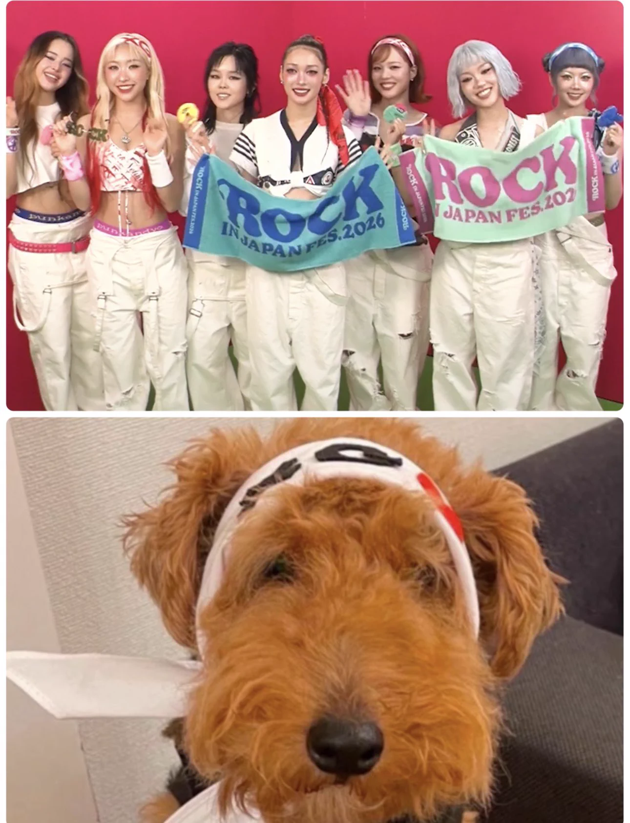 XG❤️HACHIMAKI🦐 (@XG_1234567) / X