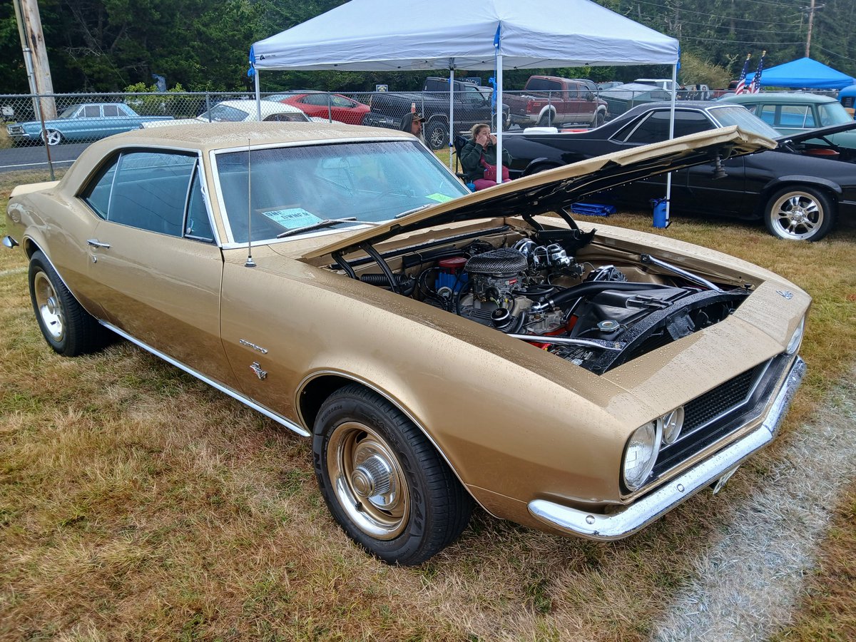 DBolt20's tweet photo. End of the world, 42 anual #RodRun at OceanPark Wa 9/11,2026.
Best damn $5 I ever spend. Hope yall enjoy. https://t.co/P2BXbUQkl5