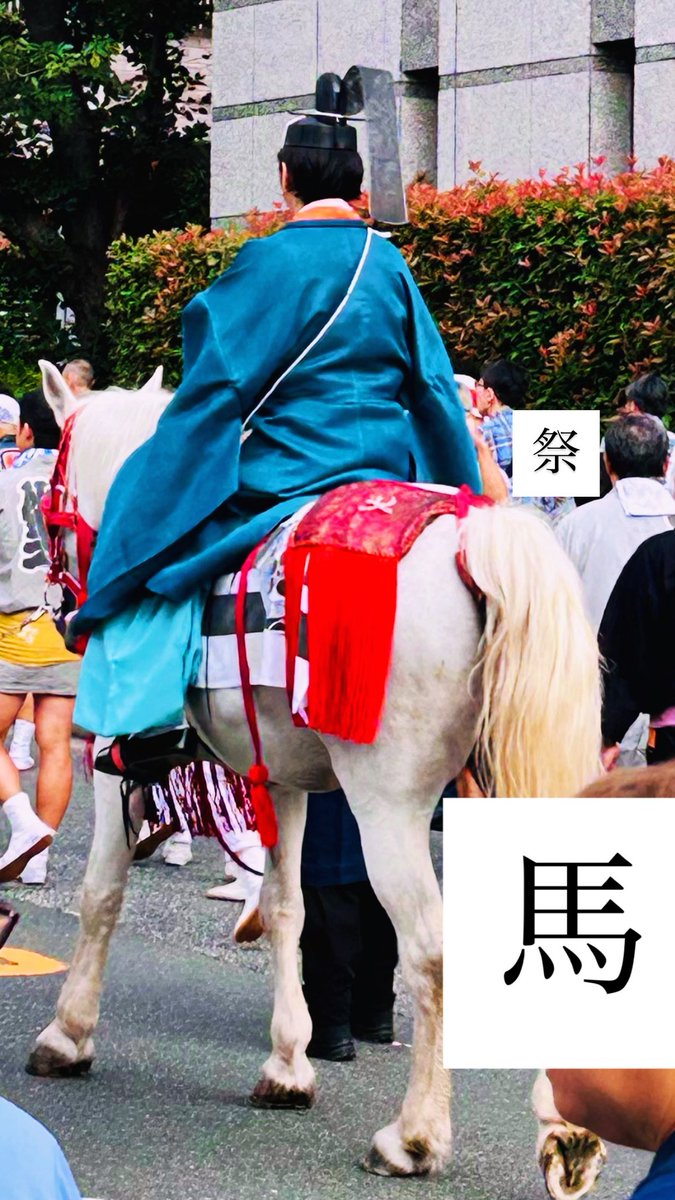 dummpuppe's tweet photo. 馬可愛い https://t.co/c7N2cn8pkW
