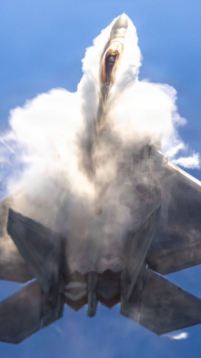 Remnantize's tweet photo. F-22 Raptor https://t.co/JXFKJ6zdz6