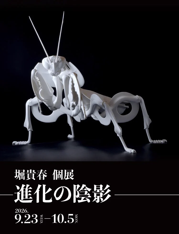 ミニチュア着物　殿様　　音〜otoページ HSDysO7b0AAtD14?format=webp&