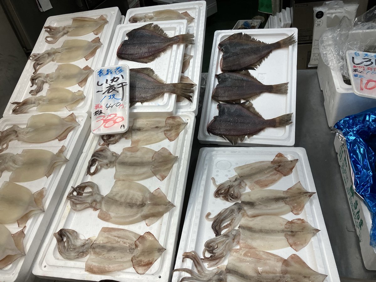 minashin219's tweet photo. おはようござい鱒🫡
今日はお久しぶりです❗️
あんくぅのとも和え🍶
あん肝カニ味噌ソース🦀
Wプリン体祭り🍶
酔いどれ👼セット🍶
酒のアテセット🍶にも入ってます😋
プレミアム〆さば✨
長崎生本まぐろ🍣
松川ガレイ、ニシン、地物タコ足＆頭🐙
大人気！イカ一夜干し🦑
サッと炙って一味マヨで🍺
生イカ🦑
生さんま✨
あります👍
白老活白貝＆活ホッキ✨
お刺身、カレー🍛に👍
塩水ムラサキウニも☺️
よろしくお願いいたし鱒🫶