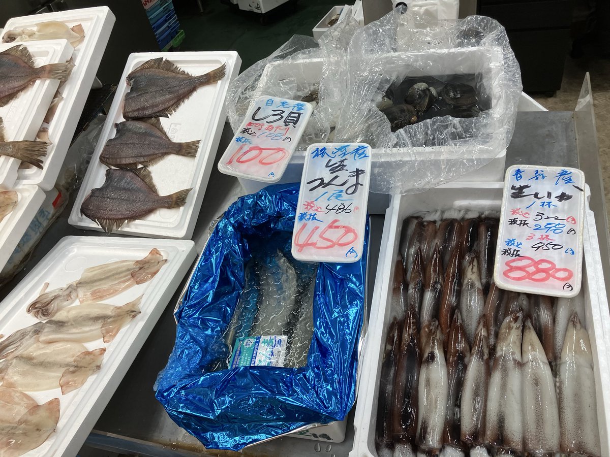 minashin219's tweet photo. おはようござい鱒🫡
今日はお久しぶりです❗️
あんくぅのとも和え🍶
あん肝カニ味噌ソース🦀
Wプリン体祭り🍶
酔いどれ👼セット🍶
酒のアテセット🍶にも入ってます😋
プレミアム〆さば✨
長崎生本まぐろ🍣
松川ガレイ、ニシン、地物タコ足＆頭🐙
大人気！イカ一夜干し🦑
サッと炙って一味マヨで🍺
生イカ🦑
生さんま✨
あります👍
白老活白貝＆活ホッキ✨
お刺身、カレー🍛に👍
塩水ムラサキウニも☺️
よろしくお願いいたし鱒🫶