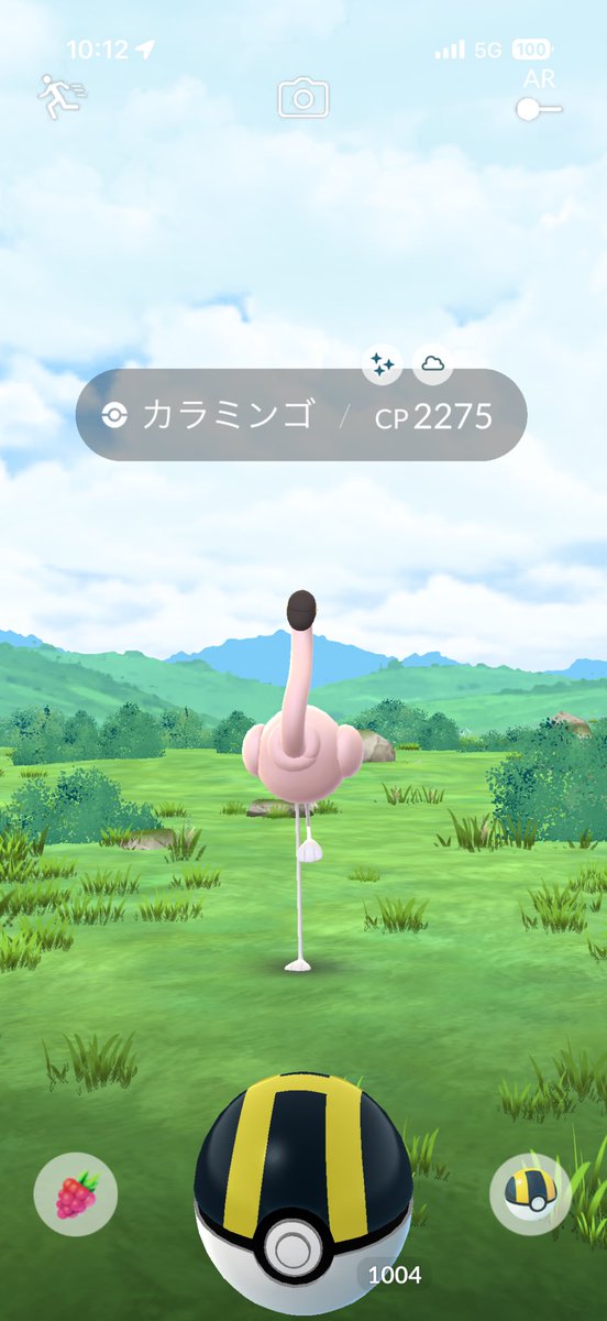 0umbre's tweet photo. ドフラミンゴちゃん🦩 https://t.co/4FGynzktKo