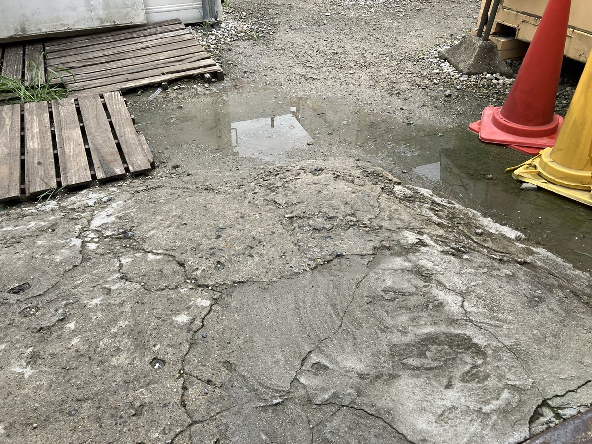 hidden_gomi's tweet photo. 今日のCRA

・計30人くらい。やったね。

・が、地雷多めで終日前線を抜けられず孤独落ち。きちぃのぅ。

・ナーフで電動ガンをぶち会、ちぃとも流行らんのぅ。まぁメガシリーズがオワコンだしなぁ。

「ドックタグ」なるフィールドの話がちらほら。とても気になる。 https://t.co/aTIACPEiD6
