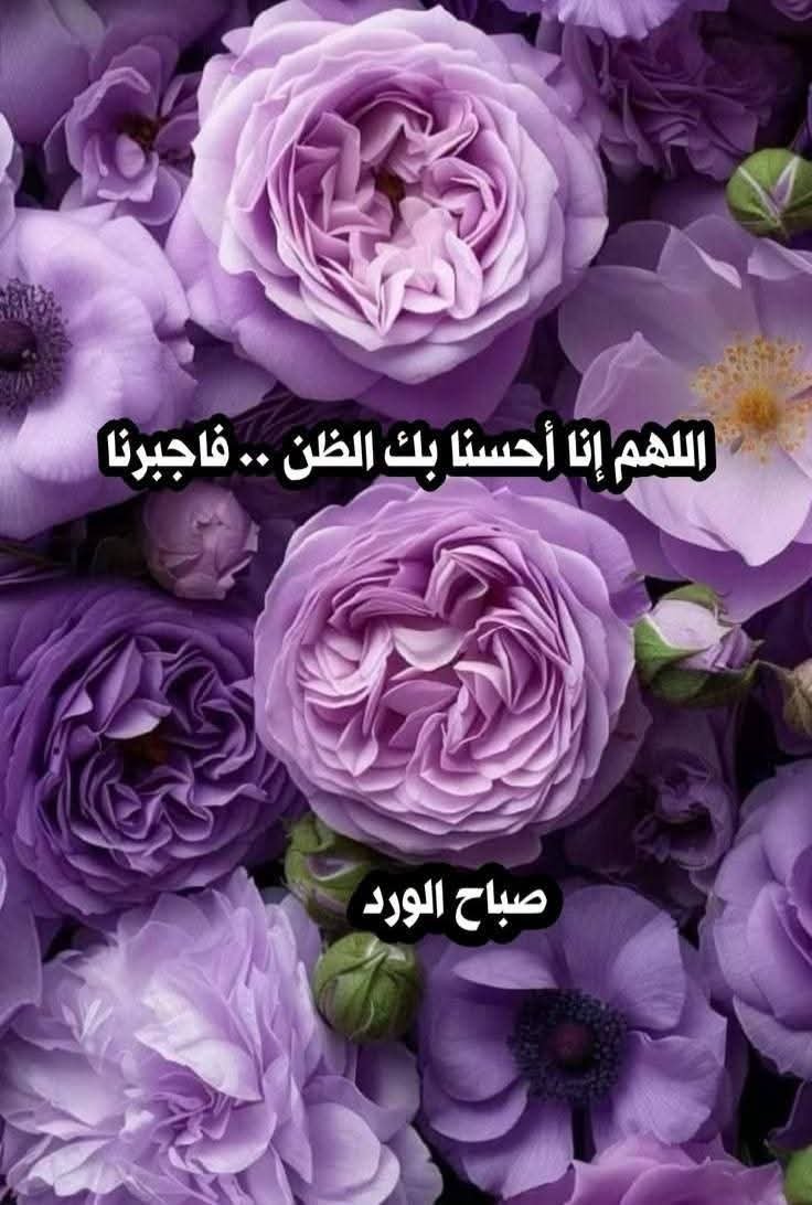 ashraf322aly's tweet photo. https://t.co/9Shvt6ErS6