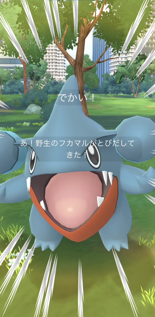 __soy_poke's tweet photo. ⠀
ひっっさしぶりに
コミュニティday参加した~~~💙 ͗ ͗

迫力満点のフカマル載せとく🤭笑

 #ポケモンGO
 #Pokemon
  ⠀ https://t.co/toTdSnM0Cr