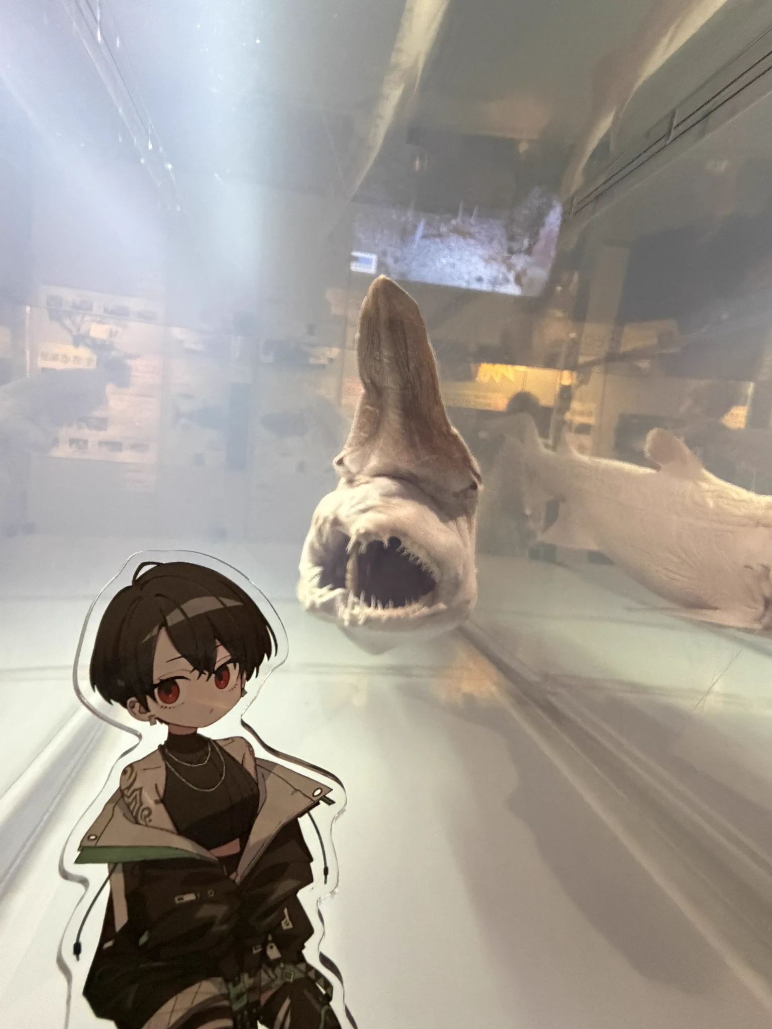 沖縄様確認用 HSE0fDyasAAg_7c?format=webp&