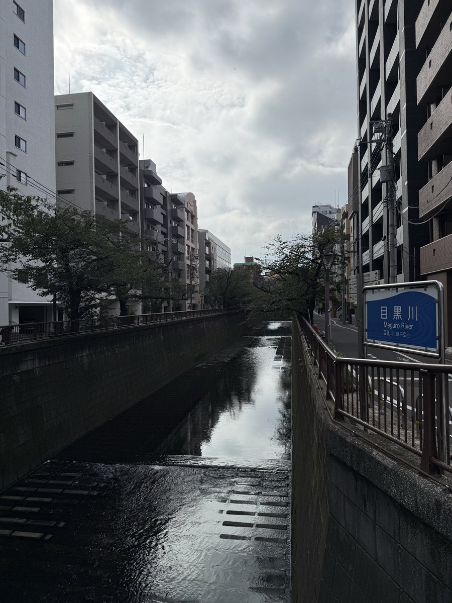 Mooccho's tweet photo. 目黒川も渋谷に近づいてくると水質がキレイになってくる。五反田を越してくると汚水色に変わる。今日のウォーキング中に神輿の列を2度見た。世界が平和でありますよう祈ろう。
#平和　#ウォーキング https://t.co/uw8Es48phN