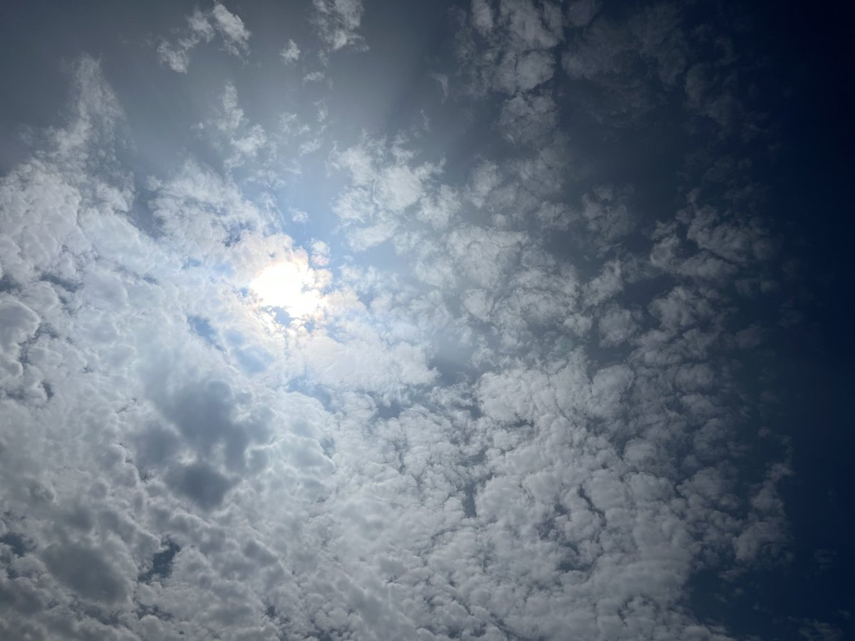 Front_P_P's tweet photo. だらしのない天気 https://t.co/OMFkFbkNb8