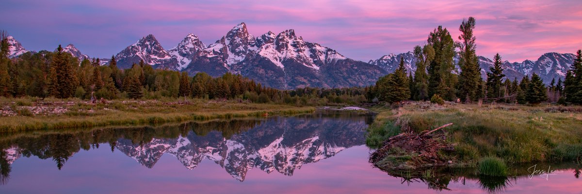 RyanScottmtl's tweet photo. She often said I could be a good mother and wife. She also mentioned that money didn’t matter to her. https://t.co/Vr8BSjsyzm