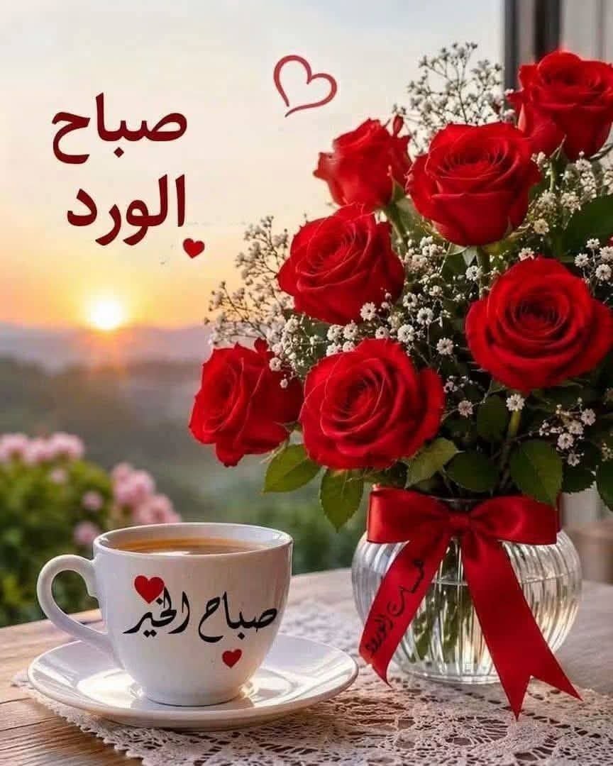 cevj_d's tweet photo. @Sys421339Sys https://t.co/jIQpQBKIjg