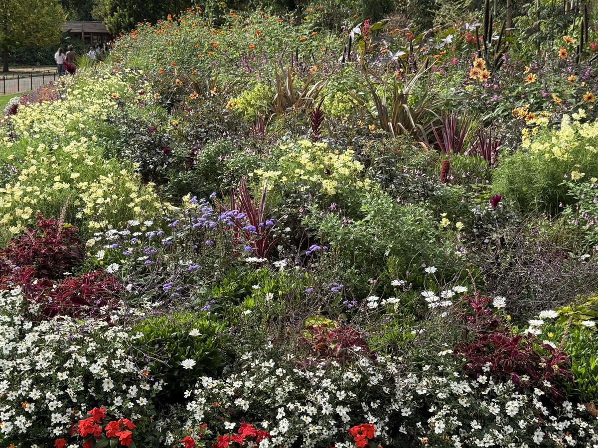 wazzo_m's tweet photo. Nothing like a little bit of natural rainfall to refresh the flower borders #StJames’sPark @theroyalparks @ThorneyIslandSo https://t.co/Ri5dElIcEd