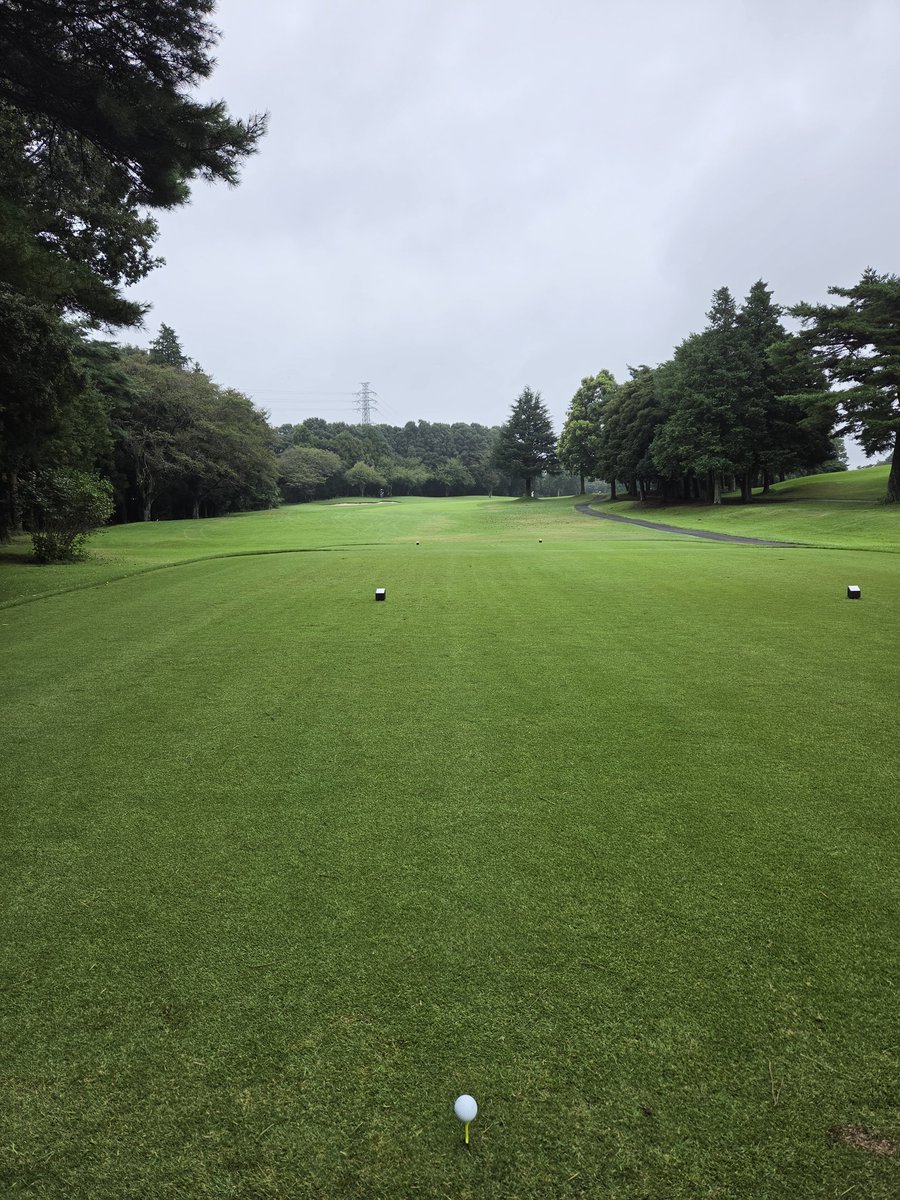 furu03270327's tweet photo. 前日にテニスを気合いいれてやったので、今日はダメかと思いきや、何故かやたらと調子がいい。ロンクパットはバシバシ入るし。
久し振りにキングで70台は嬉しい🎵😍🎵
Bグリーンだけとね。 https://t.co/sKZmHorNFl