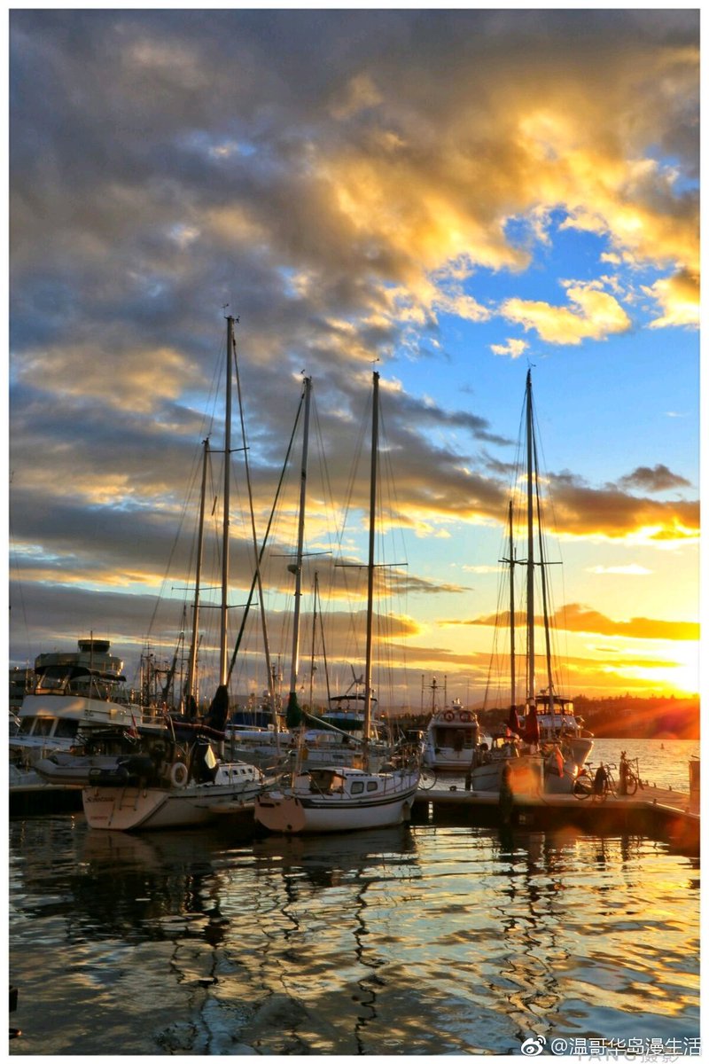auror670088's tweet photo. Just wrapped up a fantastic day trip to the coastal town! Saw gorgeous sunset over the pier, tried fresh seafood at a tiny local spot, and met some lovely travelers here. #TravelDiaries https://t.co/0gdnMNVbbE