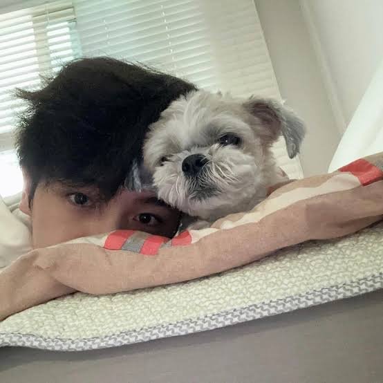 tbznuna's tweet photo. Hyunjae shared that Darongie has passed away. While singing, he stated that he started to tear up thinking about his dongsaeng who has gone to heaven.  

Because Darongie was loved by a lot deobis, he knew that ine day he had to share the news and finally was able to reveal it today. He said he cried a lot already and even during his passing he told him, a lot of people have loved you ㅜㅜ He felt bad sharing such sad news on such a happy day but he felt it necessary that deobis should know.
