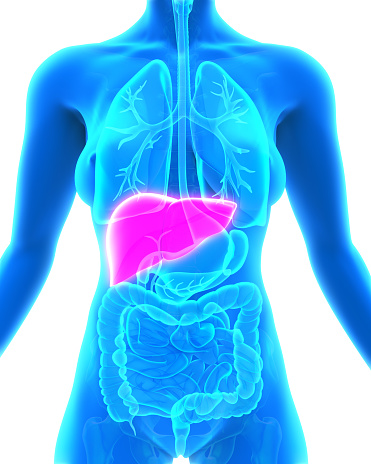 DedayoRoots's tweet photo. Your liver has been quietly forgiving you for years. That mercy is running out.

It doesn't complain. It doesn't warn you with pain. It just keeps absorbing the damage; until one day a lab result tells you what it's been trying to say all along.

Nigerian LIVER's worst foods🧵👇 https://t.co/1JDc4bmxLu
