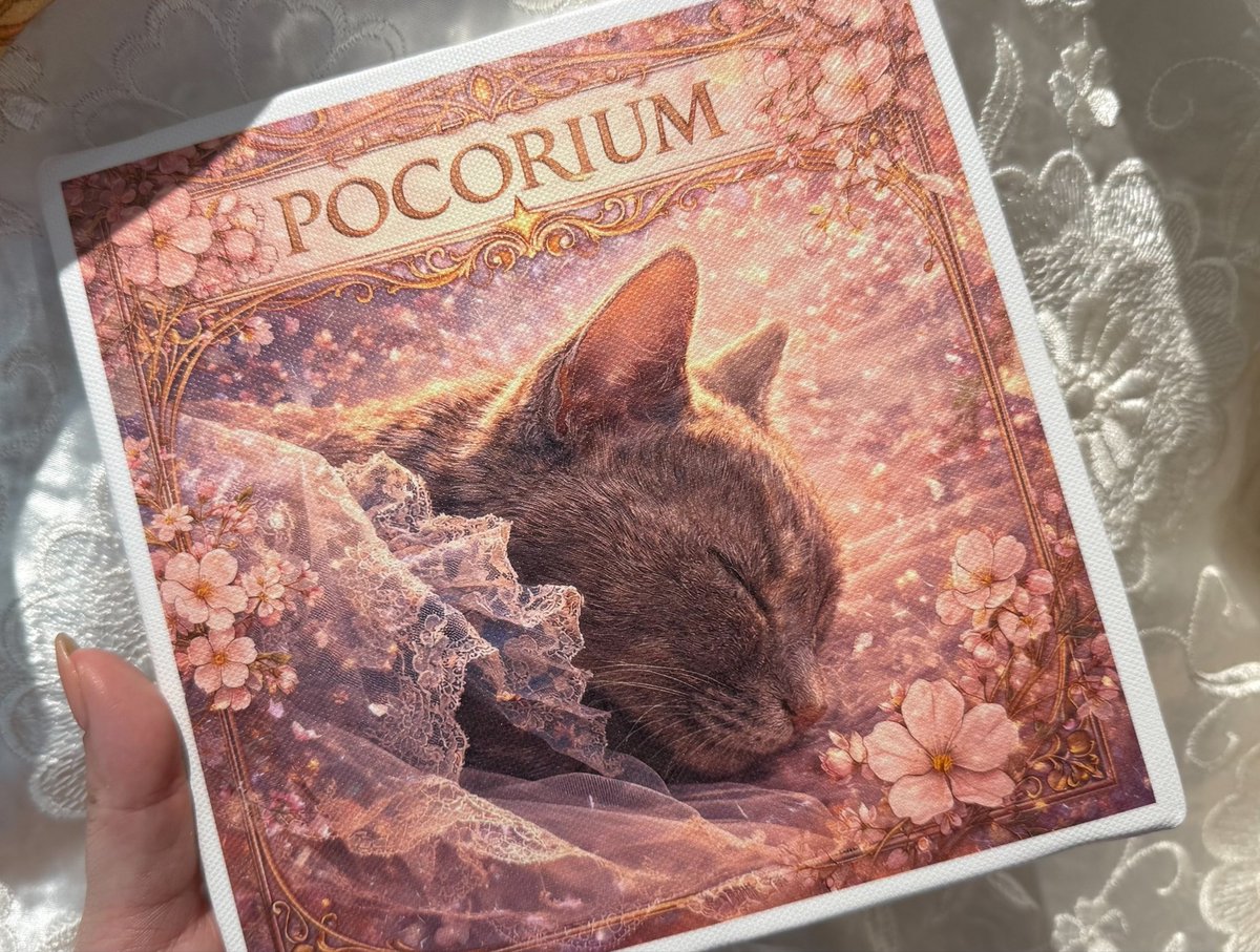 dot_p_o_m__'s tweet photo. POCORIUMの名前の由来は、
実は提案したのは私なのです。

POCOはちょっと、小さいなどと言う意味
RIUMは場所
あなただけの場所あなただけの世界という意味の造語です。

たまたまSSSの社長が飼ってた猫ちゃんがぽこちゃんで、
それだ！！！と。

#POCORIUM https://t.co/vI061zVFdi