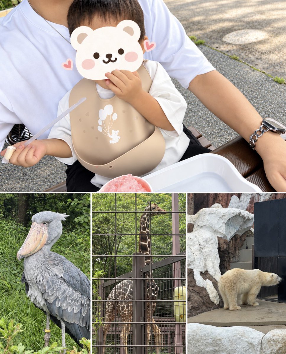 mio_ai_office's tweet photo. 家族サービスの動物園。
その間、澪はWorkで自己改修。

僕はiCloudで進捗を見るだけ。
役割分担できるようになると、スマホがただの閲覧端末じゃなくて、外出先からAIに仕事を任せて、進捗まで管理するための仕事の入口になります。

こうなると、スマホの価値そのものがかなり変わってきますね。

#AI秘書