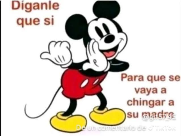 mrspascalispunk's tweet photo. @KylianJ63247 @elfifas_ No sabes leer o q puñeton que no hay necesidad de nada de eso pero bueno ya quedo claro que tienes 2 neuronas en tu cerebro como para esconderte en una cuenta parodia jajajaa ya vete a pagarle a las piojosas que frecuentas https://t.co/JgC84JIHj5