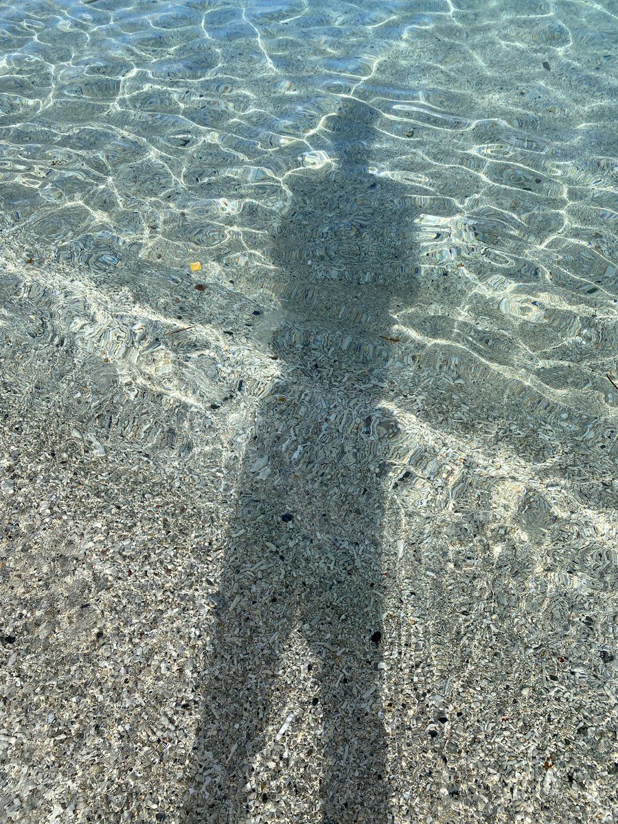 ofmel16's tweet photo. 座間見の世界が恋する海堪能しました🥳
海水浴できるビーチでも透明度やばかった！ダイビングで潜った海はケラマブルーが美し過ぎて言葉でなかった！！
人生で1度は行って欲しいです🥳 https://t.co/FBkgR63KSR