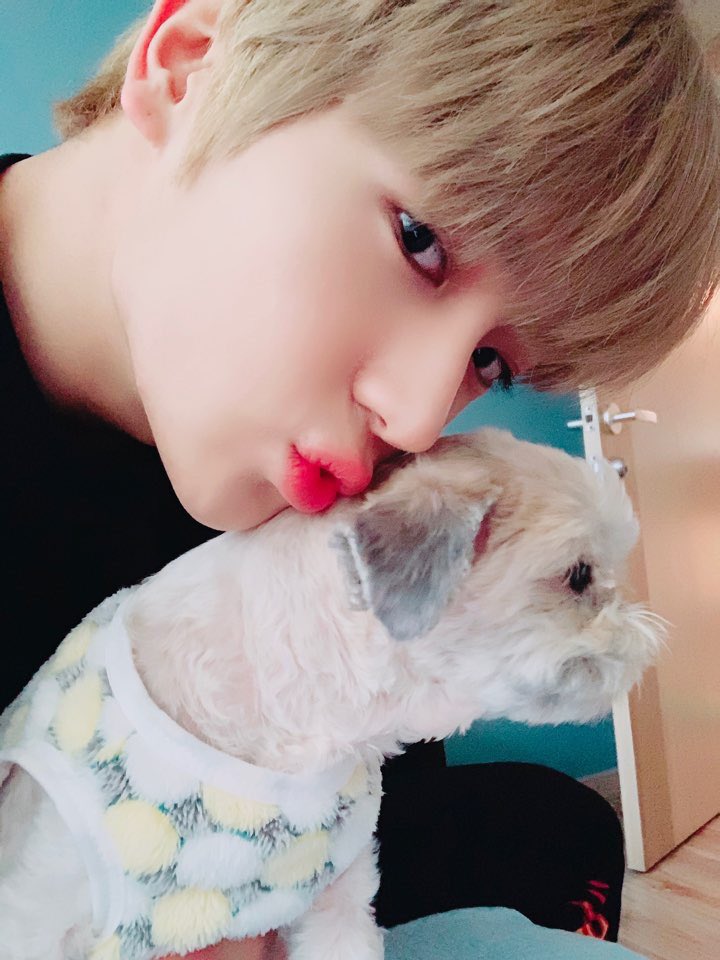 sunw00_0412_'s tweet photo. 다롱아 재현이 동생으로 와줘서 고마워 
덕분에 재현이도 정말 많이 행복했을 거야
다음에도 꼭 재현이 동생으로 와줘
사랑해 이다롱 https://t.co/VpaEtjqLVP
