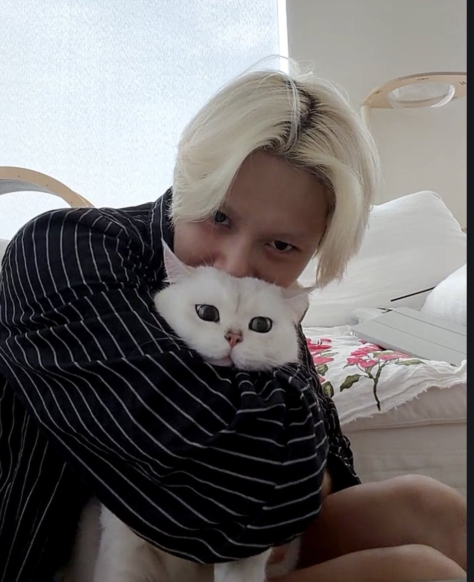 xtmtaemin's tweet photo. Meow meow https://t.co/e47QeizOEV