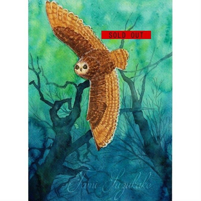 spgn7xu9's tweet photo. SOLD OUT 水彩画・原画「森のフクロウ」お買い上げ頂きました。
☆ハンドメイドマーケット minne(ミンネ)↓
https://t.co/2pcDvAz9Ax
＃動物画　＃フクロウ　＃森　＃夜　＃水彩画　＃原画　＃絵画販売　＃ミンネ　＃SOLD https://t.co/4RP95ENbtz