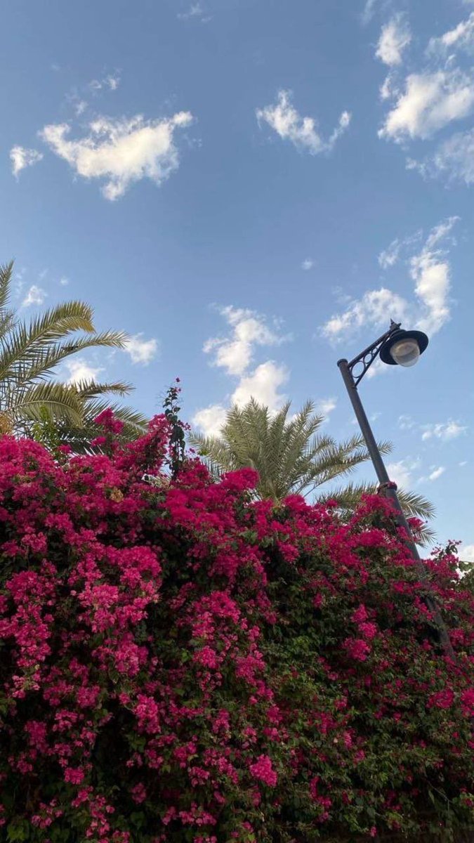 1990twitt's tweet photo. صباح وقهوة 🤍 https://t.co/BtMv9AzxrH